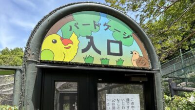 こどもの国牧場のインコ