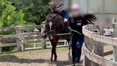 こどもの国牧場のポニー乗馬