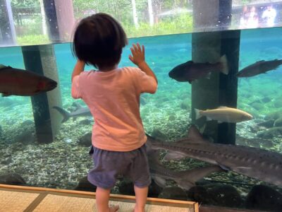 富士湧水の里　森の中水族館。