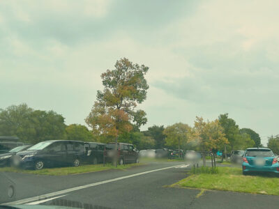 昭和記念公園の砂川口駐車場の写真