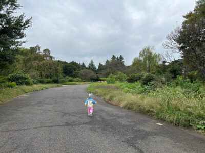 昭和記念公園の写真