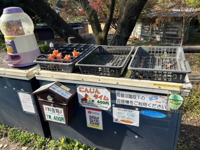 伊香保グリーン牧場　お馬さんにオヤツ