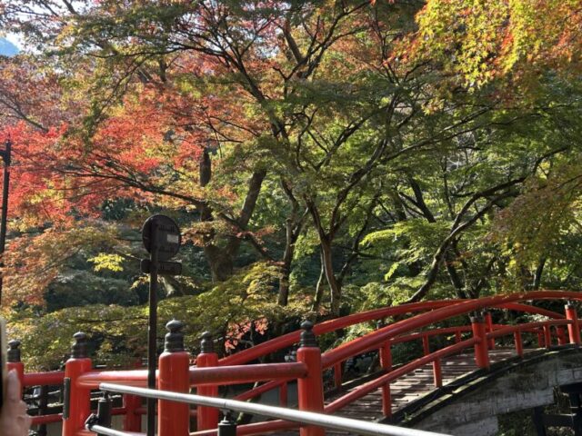 伊香保河鹿橋