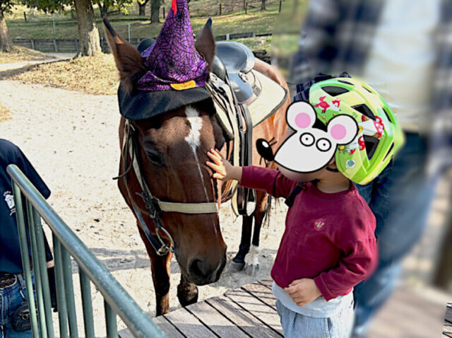 伊香保グリーン牧場　乗馬コーナー