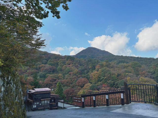 伊香保石段街　伊香保神社からの展望