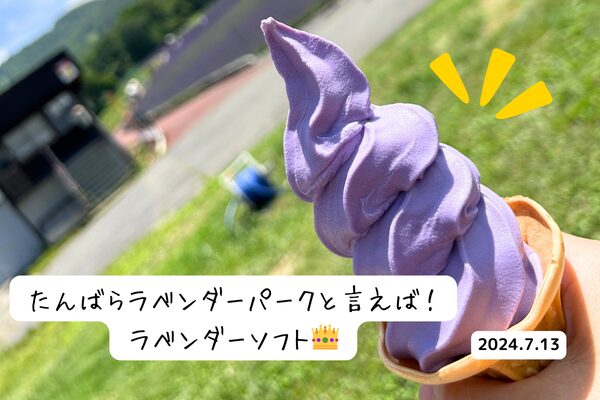 たんばらラベンダーパークのラベンダーソフトクリームの写真