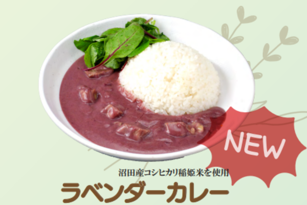 たんばらラベンダーパークのラベンダーカレーの写真